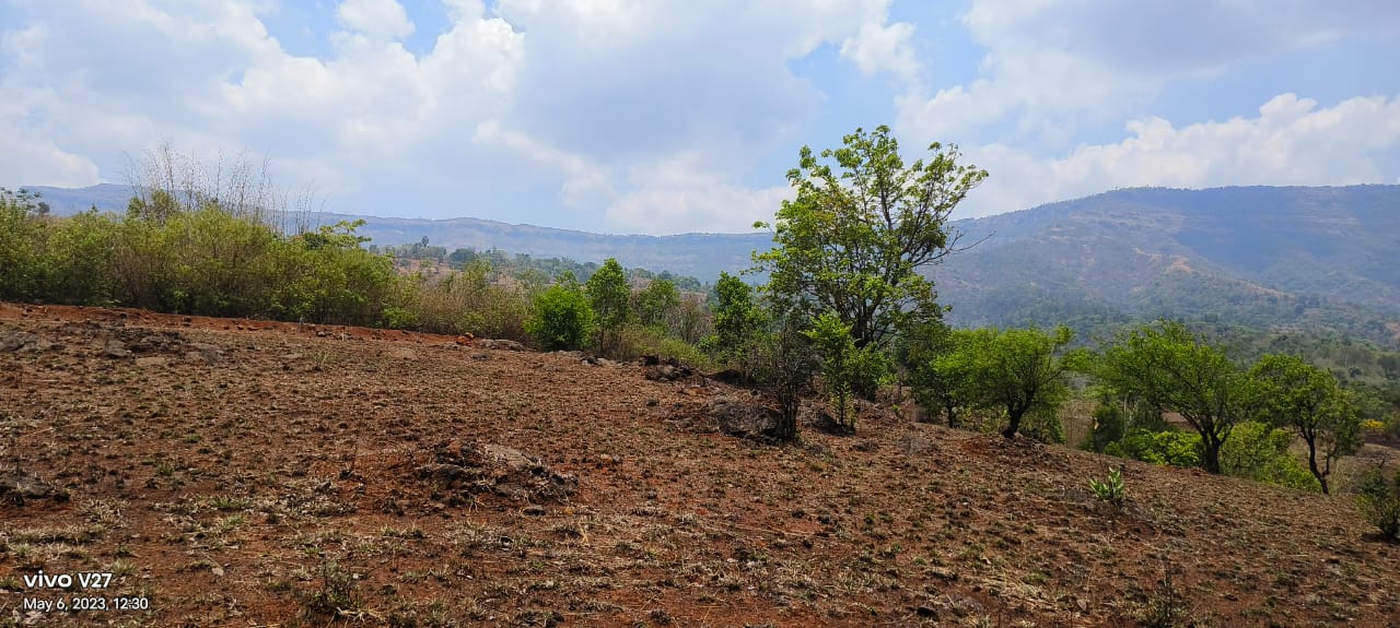 Plot 2